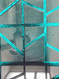 A Casa dos meus Sonhos